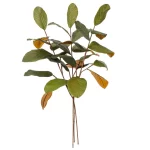 30-green-magnolia-spray-3-pack_0.webp