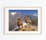 big-horn-sheep-art-print_0.webp